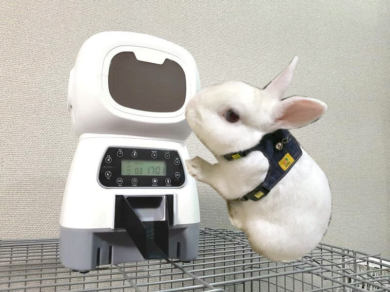 ウサギ用に改造した自動給餌器